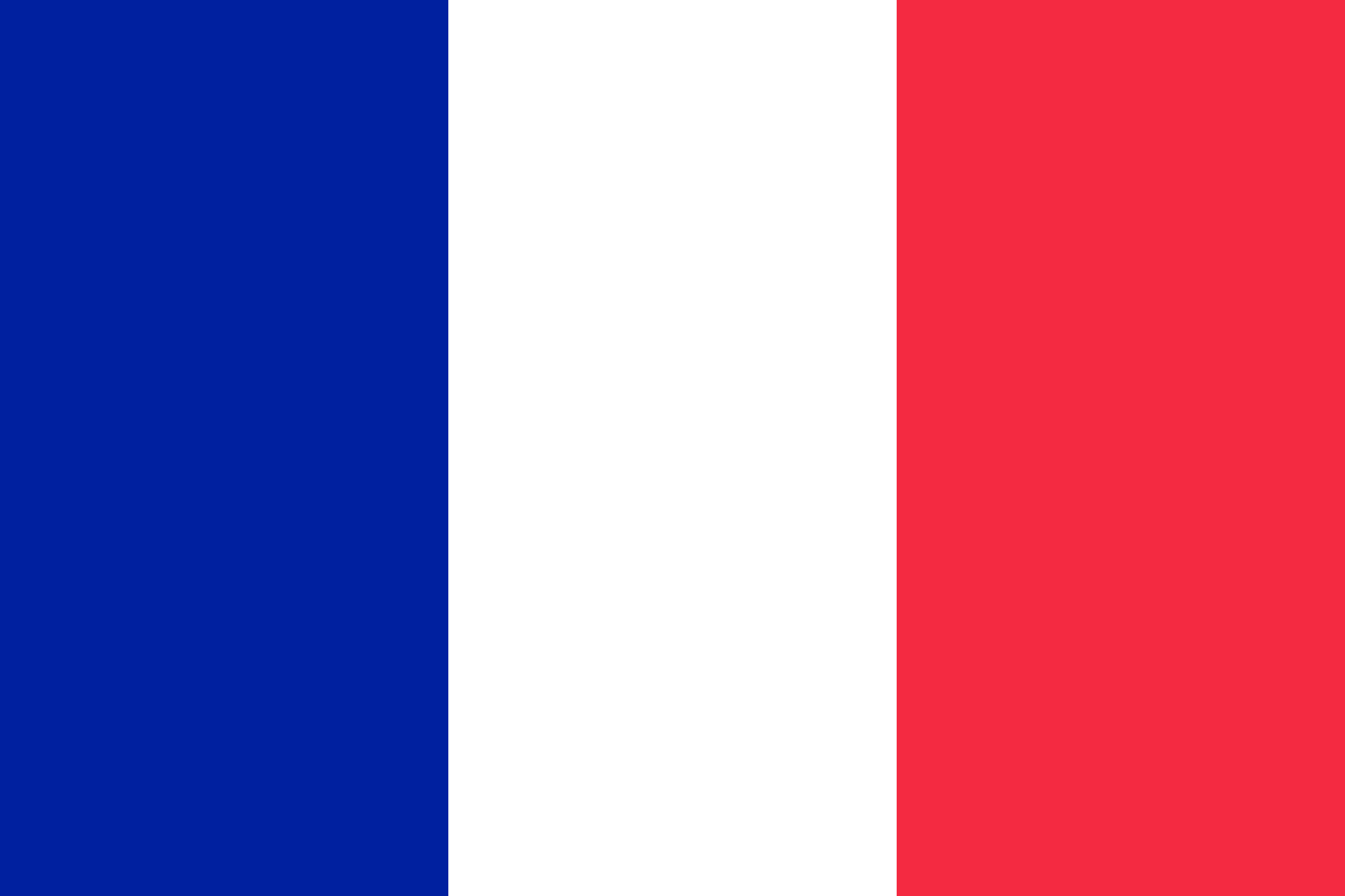 la imagen muestra la bandera de francia