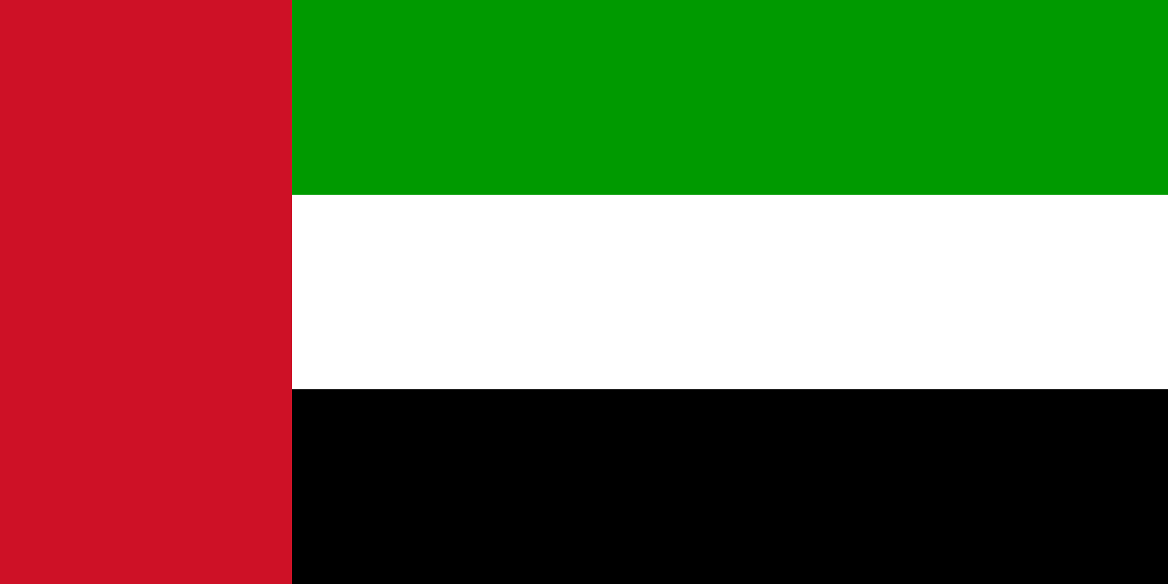 la imagen muestra la bandera de los emiratos arabes