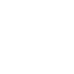 Seguridad icon