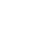 Core Values Into Every Action icon